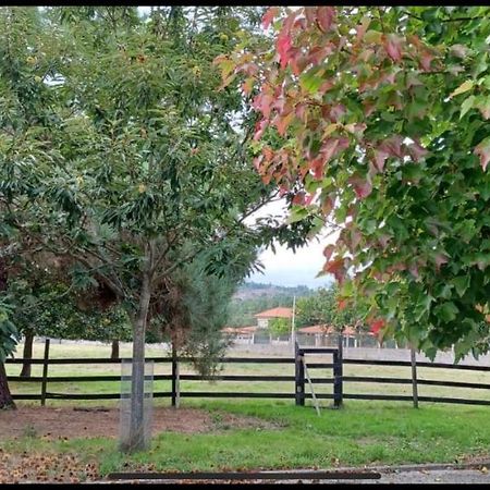 Finca O Fontao Villa Ourense Bagian luar foto